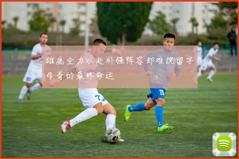雄鹿全力以赴补强阵容却难挽留字母哥的最终命运