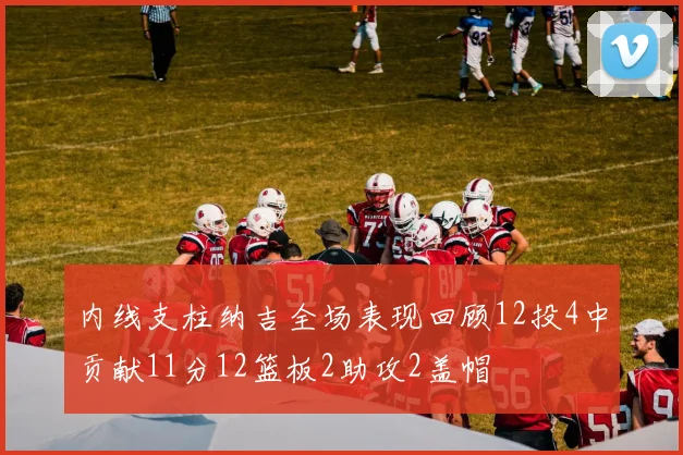 内线支柱纳吉全场表现回顾12投4中贡献11分12篮板2助攻2盖帽